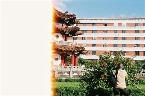掌门女婿剧情介绍(掌门女婿大结局掌门女婿35集)百度网盘免费在线观看