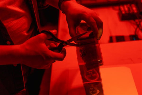 俘虏剧情介绍(继续播放电视剧俘虏)百度网盘免费在线观看