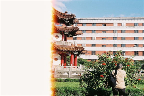 家里家外剧情介绍(家里家外剧情介绍林芳兵)百度网盘免费在线观看